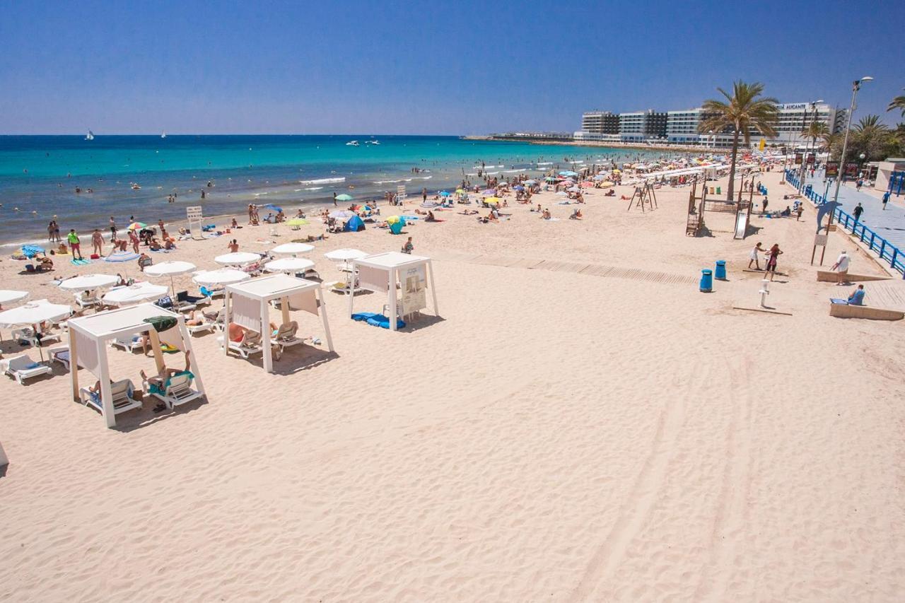 Large Apartment With Large And Sunny Terrace - Garden & Outdoor Gym , Alicante Center المظهر الخارجي الصورة