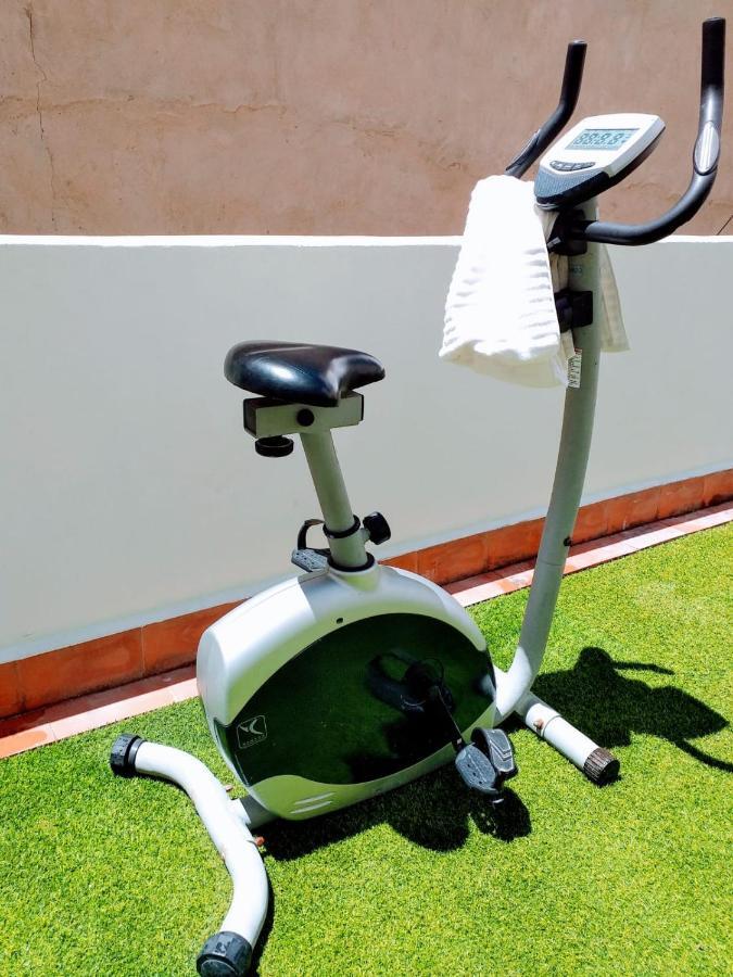 Large Apartment With Large And Sunny Terrace - Garden & Outdoor Gym , Alicante Center المظهر الخارجي الصورة